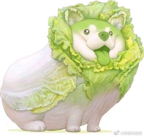 弦者的华服买哪个啊截图
