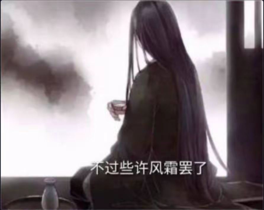 金元宝哈哈哈哈哈 3