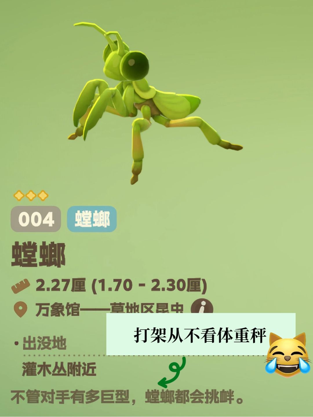 知识以奇怪的方式进入脑子 5