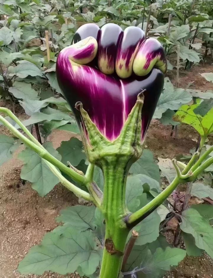 不懂就问截图
