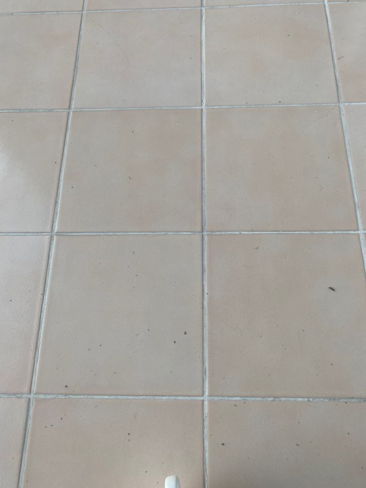 月日常任务不给旅行币，这是要每月花几百RMB吗截图