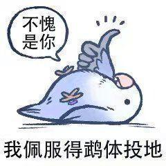 三天爆肝240抽 3