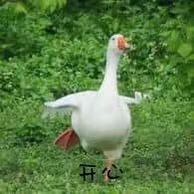 #潮汐守望者阵容 #潮汐守望者 07-3A-MP-BM-SK截图