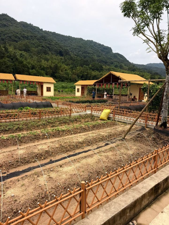 想和艾冻冻去种菜,体验乡村生活截图