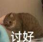 关于这次新卡池大家有什么推荐嘛 1