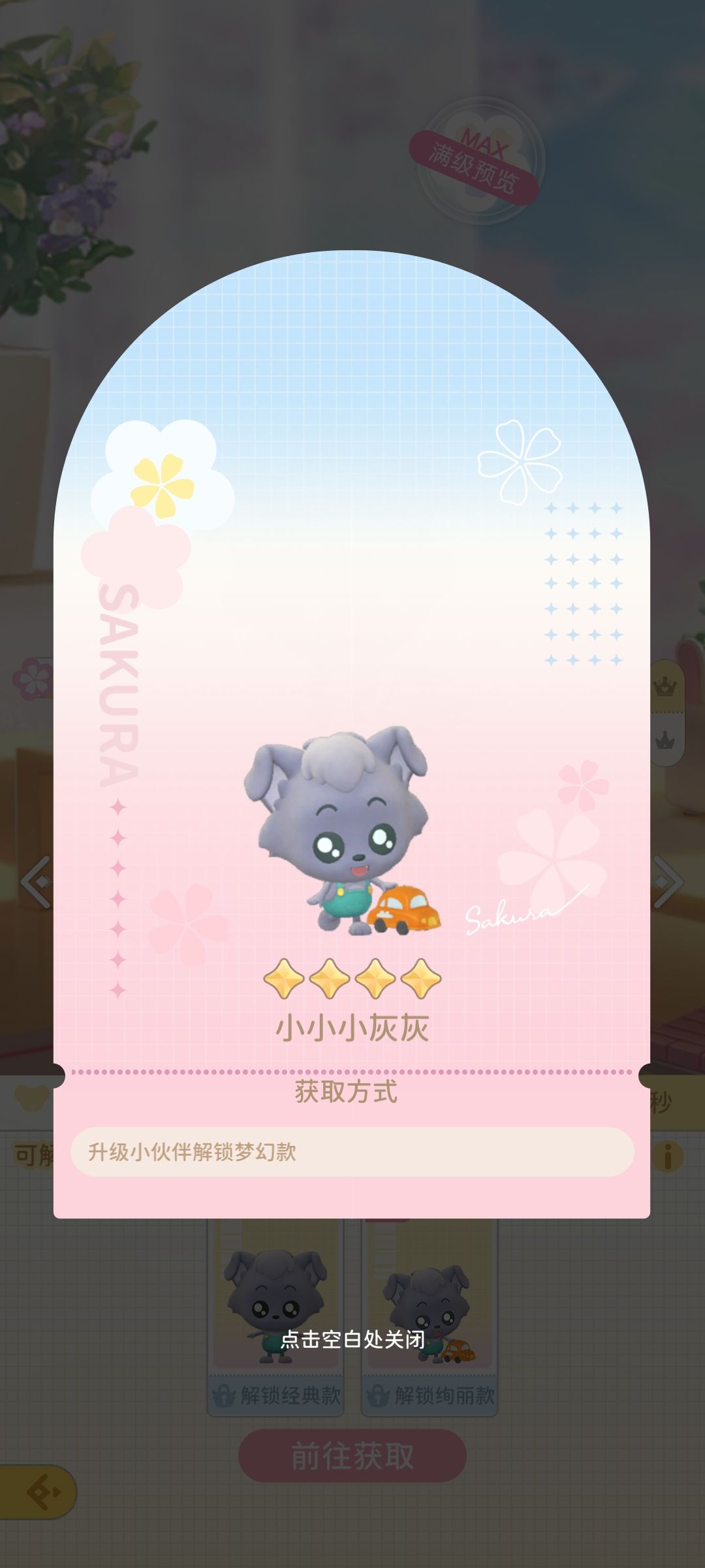 小灰灰 2