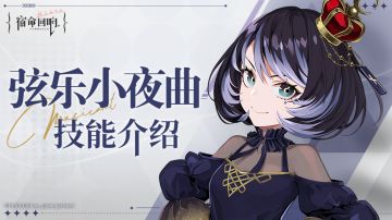 奏者技能介绍丨弦乐小夜曲