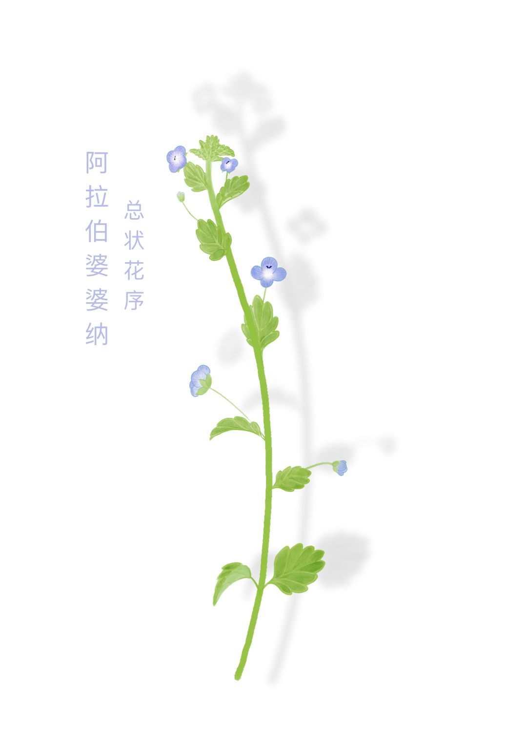 参加活动咯 2