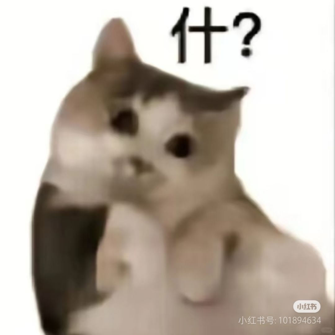 射手“亚奇”新角色首次登场! 1