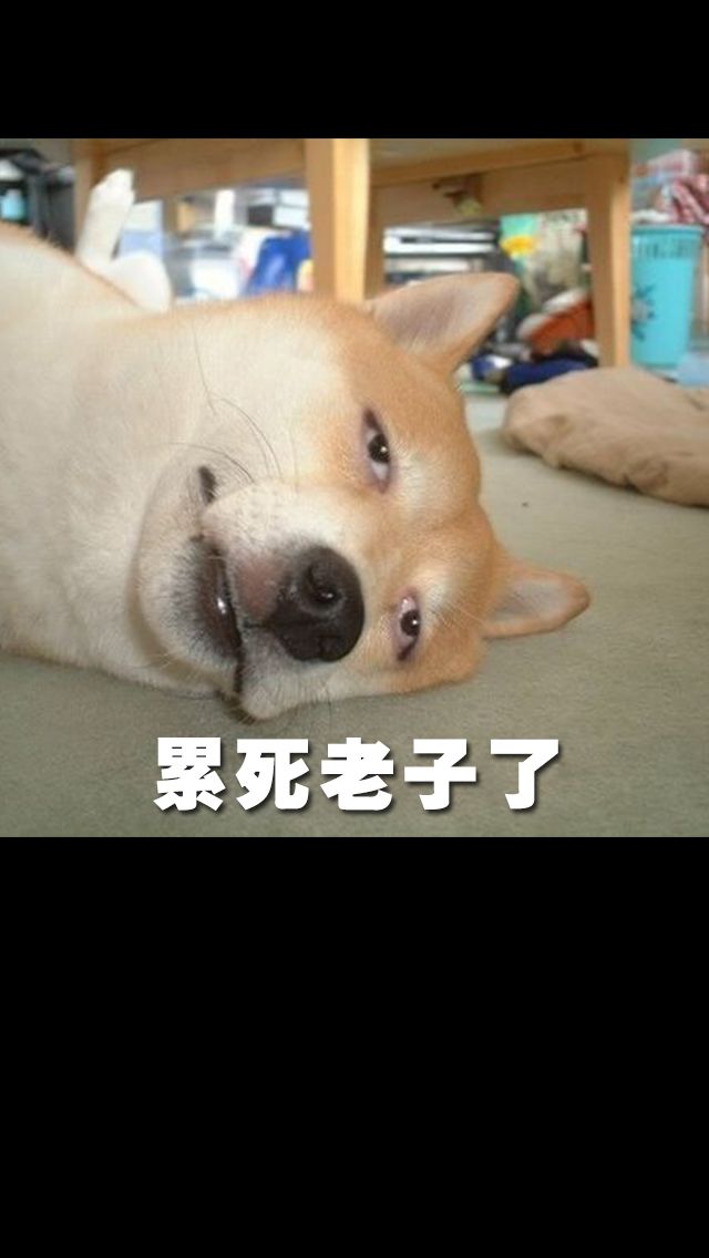求帮忙，官方帮帮忙吧！！！截图