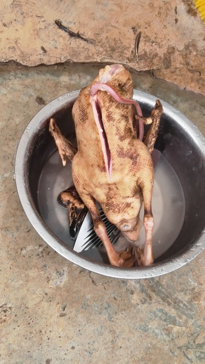 又是一只鹅炖铁锅截图