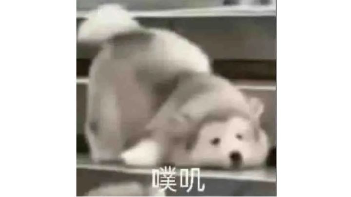 凶了一把,可惜差点吃鸡截图