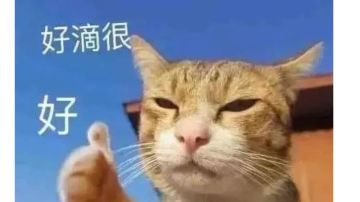 圣龙第三关和第五关一拳三霸十神打法视频