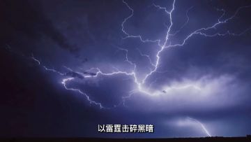 ⚡雷队配队推荐 ⚡（性价比/平民毕业&大佬阵容）