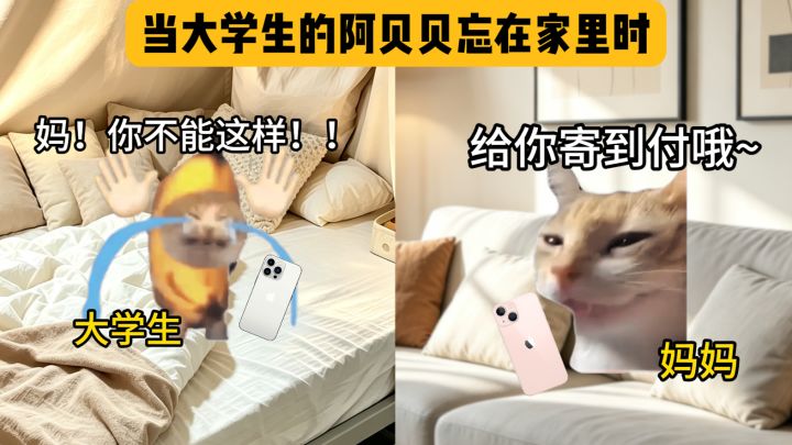 当大学生的阿贝贝忘在家里时截图