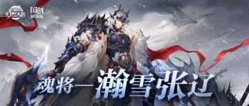 一图识武将之瀚雪张辽！