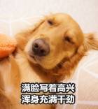 有难度更改设置吗 1