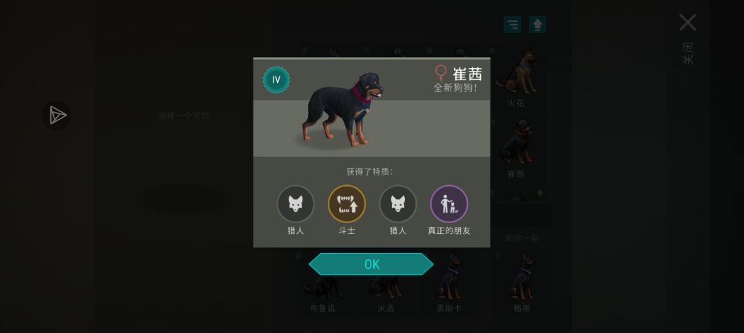 第二只朋友狗 1