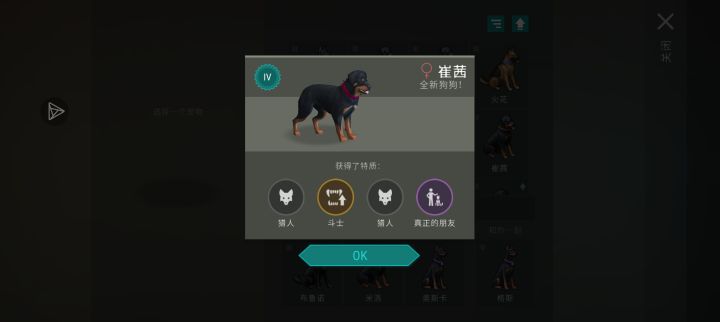 第二只朋友狗截图