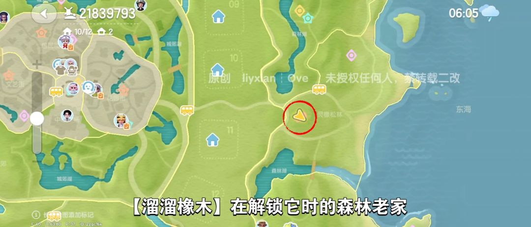 【心动小镇】（5.29）溜溜橡木&无暇萤石 3