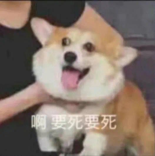 大佬们现在k8还能掉千敏衣服么 1
