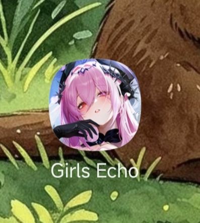 新二游girls echo 暂时没有国服截图
