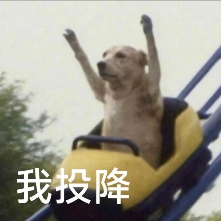 自选红天书截图