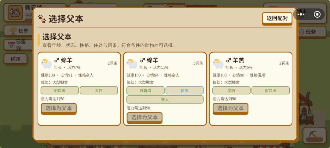 绵羊和羊羔有啥区别,都是成年羊 1