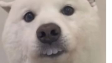 万灵日常挖矿（非萌新向回归玩家无变身）