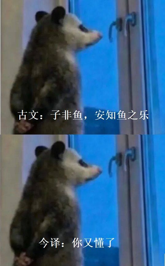 【开心一笑】古文今译配负手鼠的搞笑结合。 11