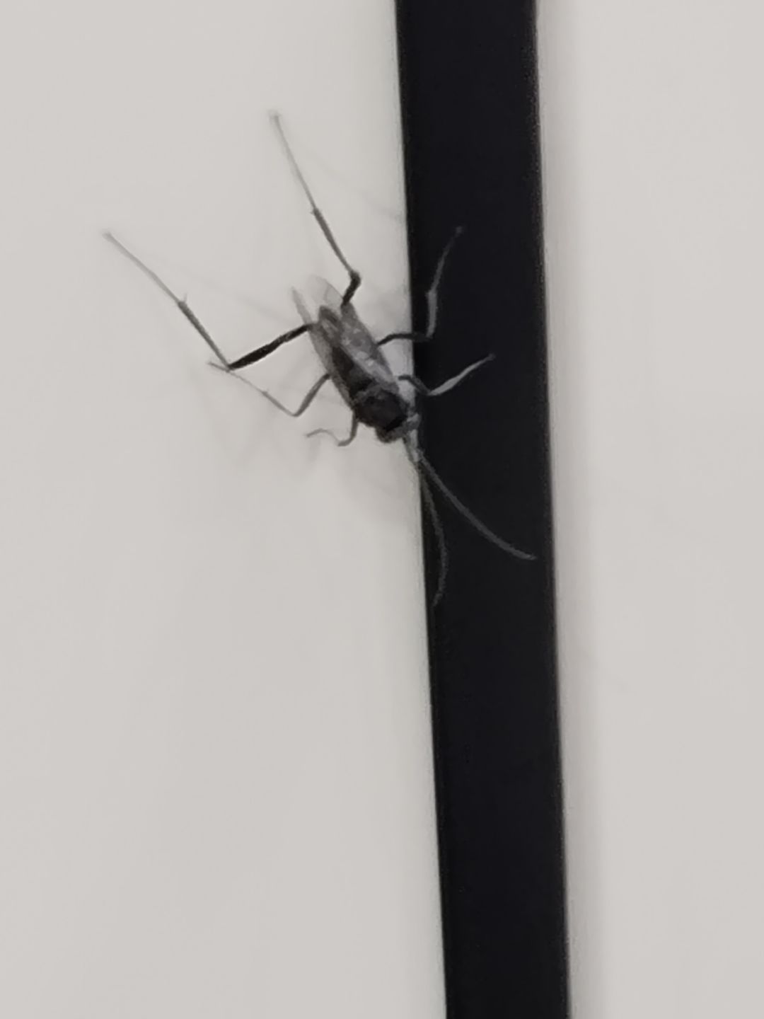 第一眼看到的是个啥? 1