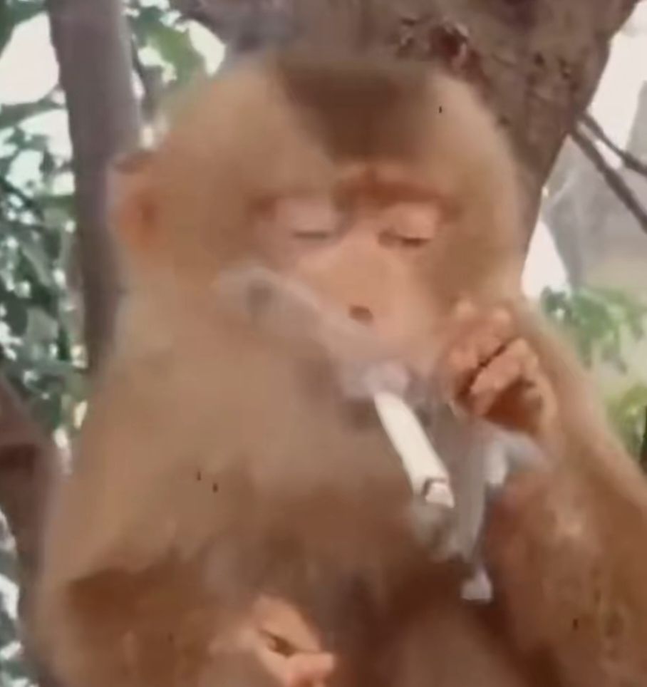 这就是肝的力量 2