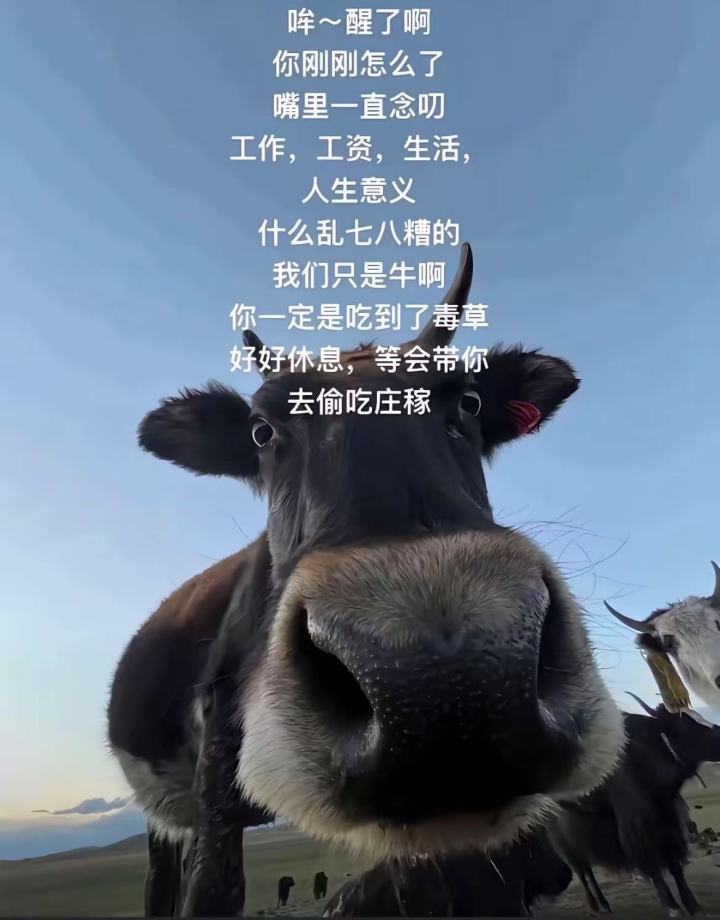 求助截图