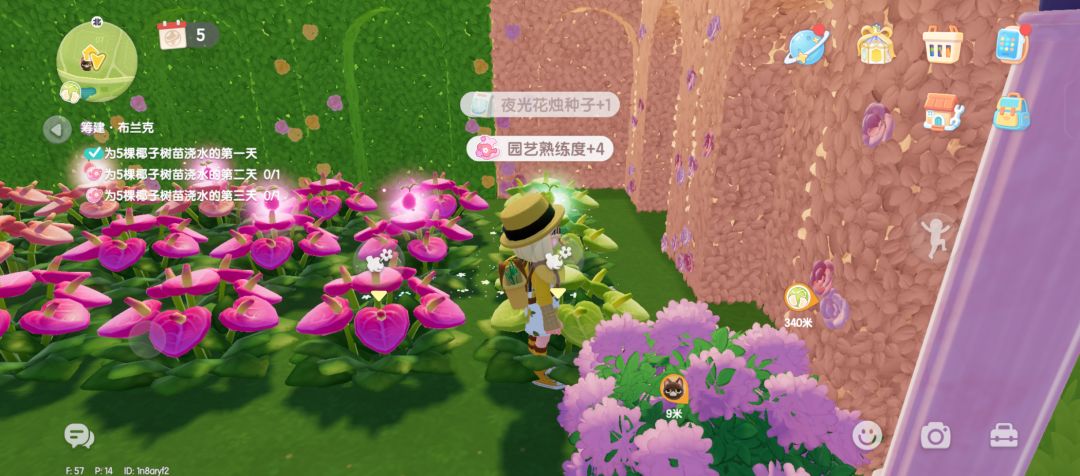 杂交出夜光花了 3
