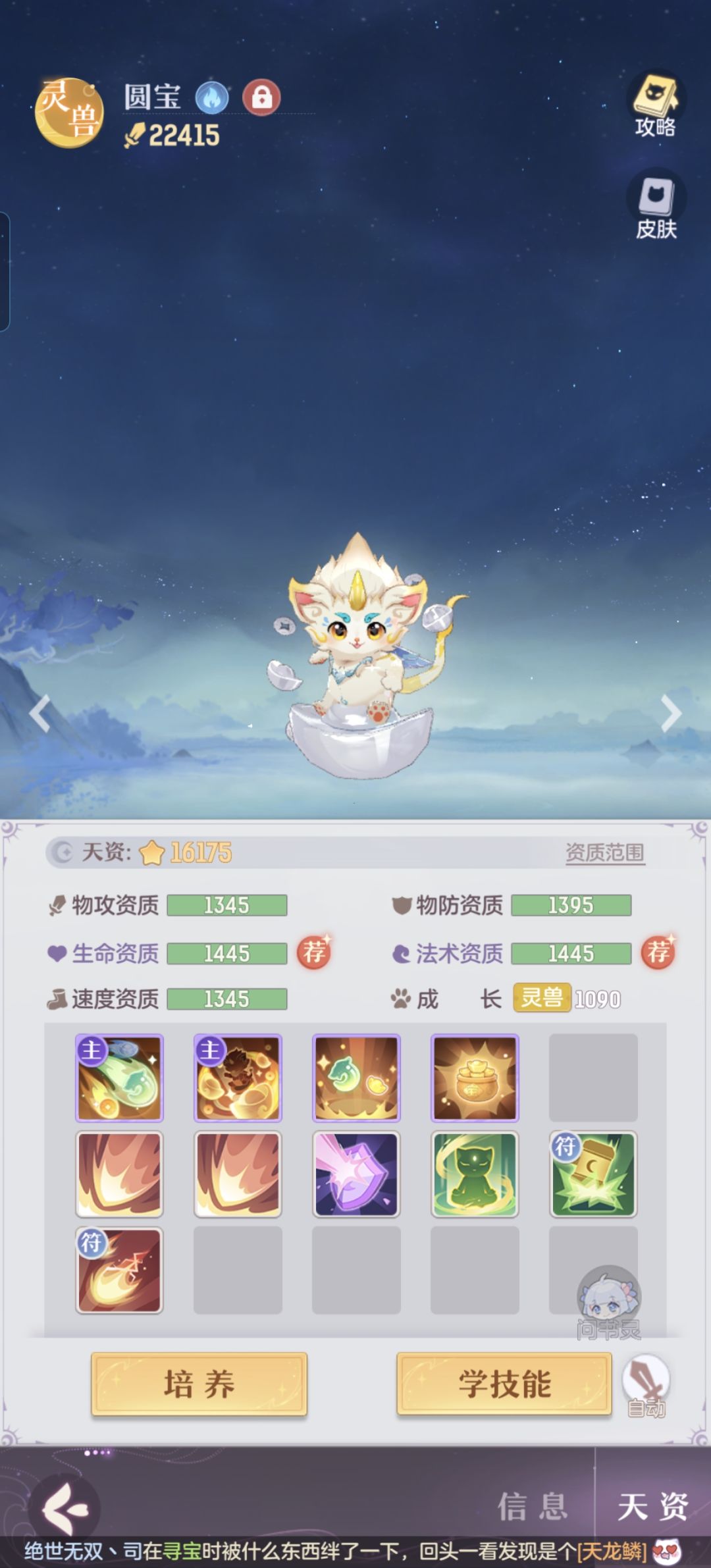问下宠物的问题 1