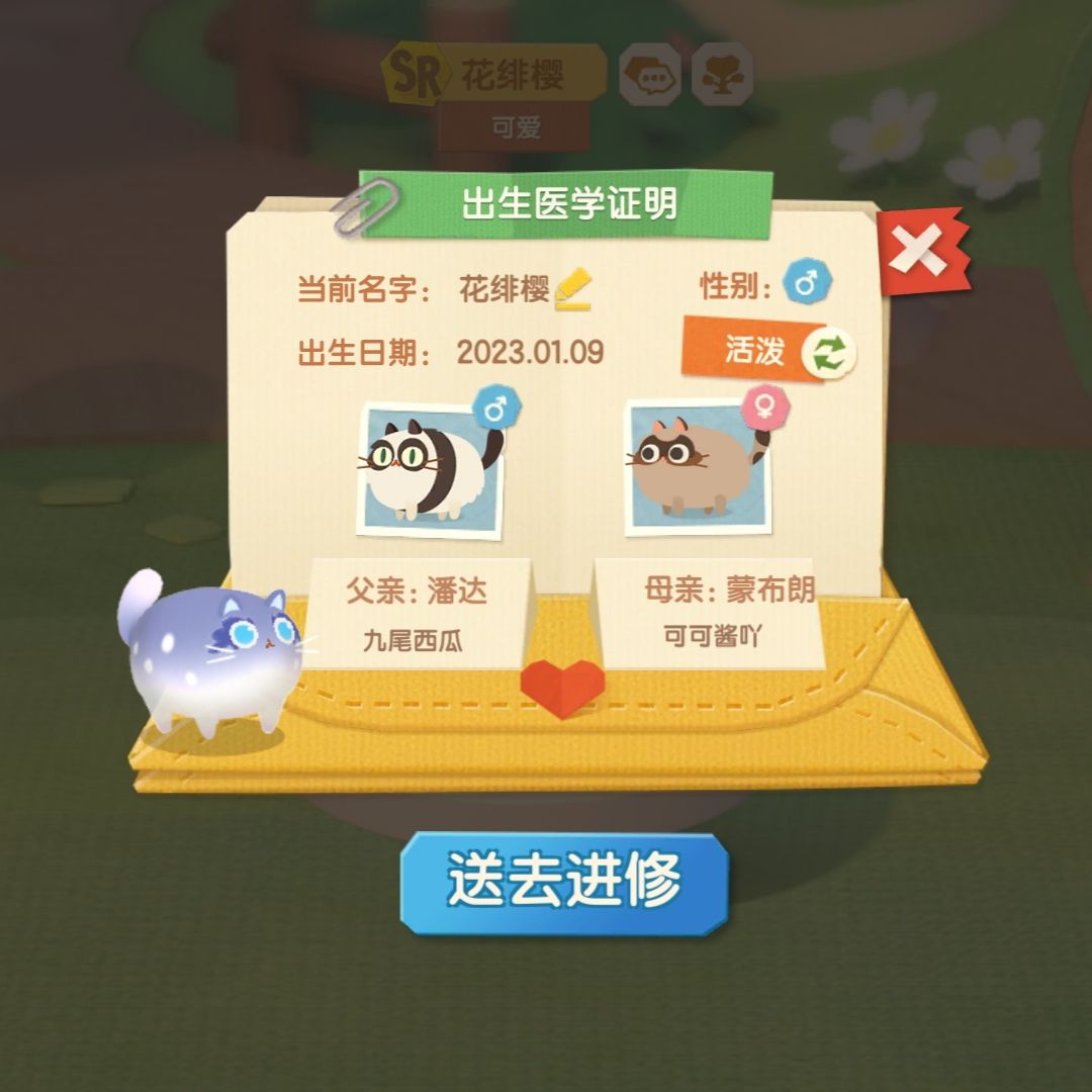 动态图片 4