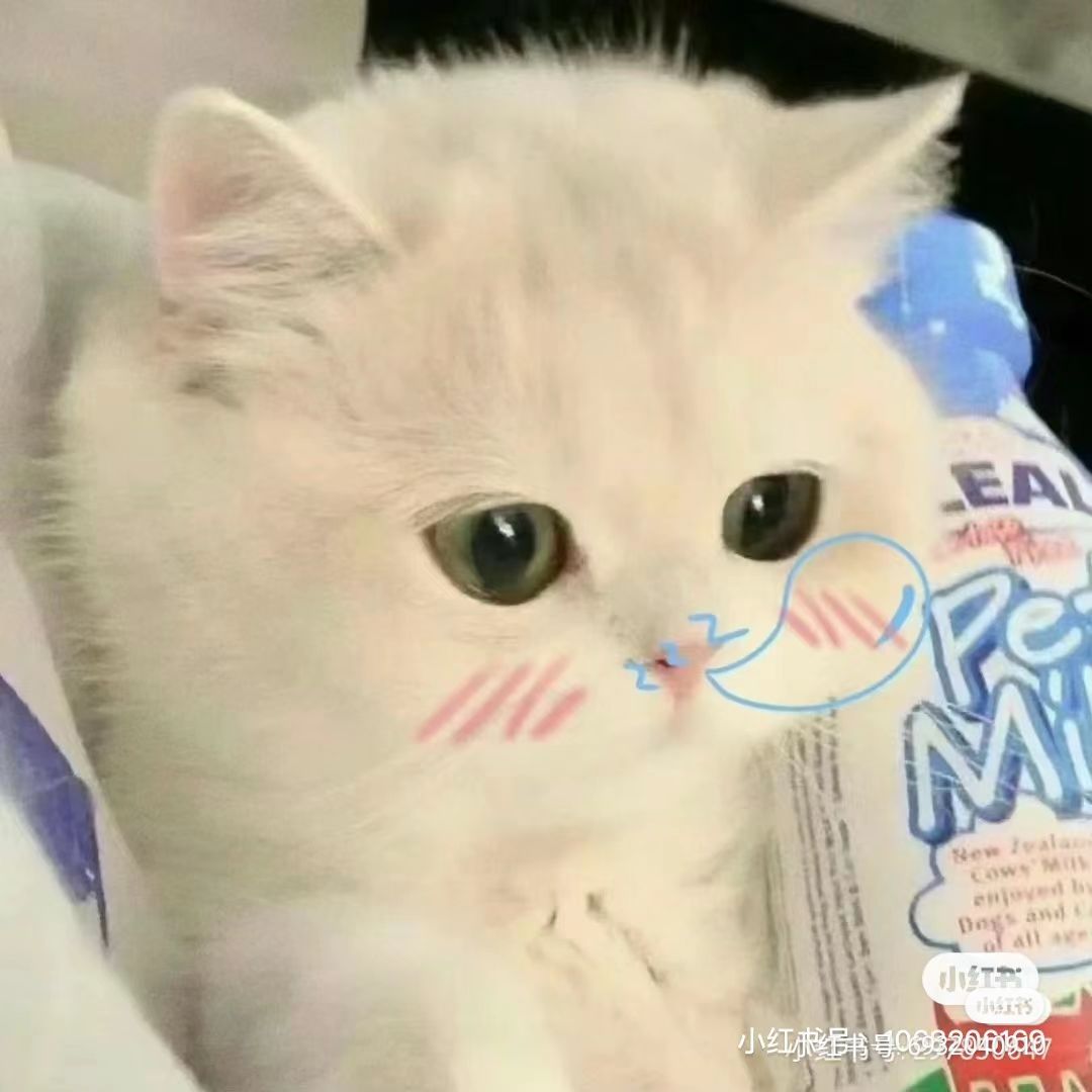 动态图片 9