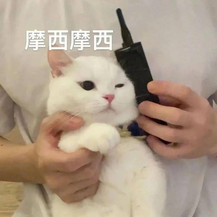 那个岚值不值得养截图
