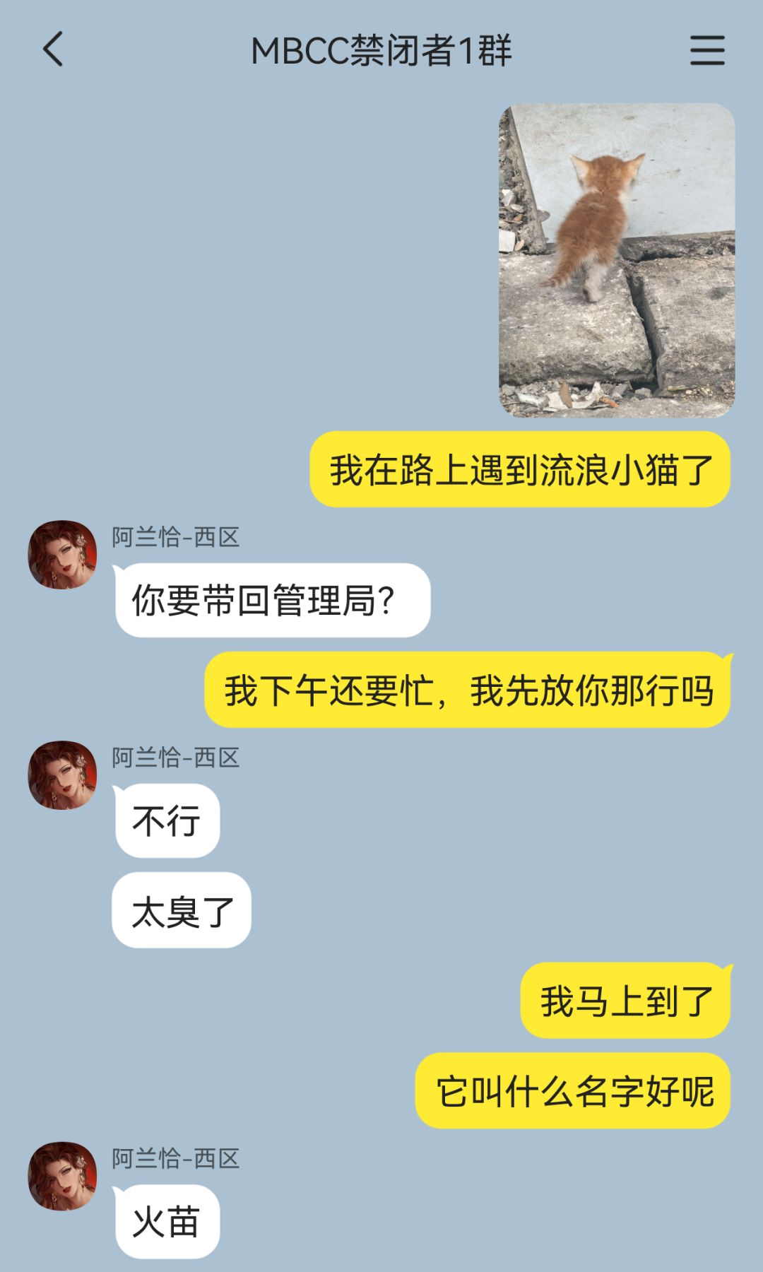 西区教母锐评:这是啥子群聊 5
