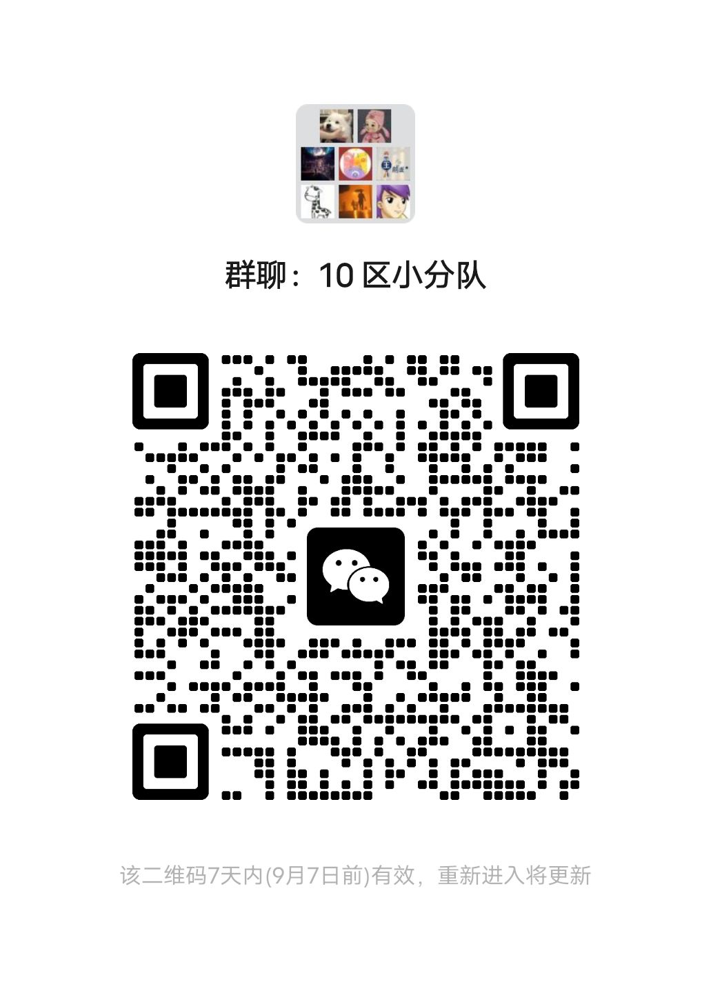 10区v裙 1
