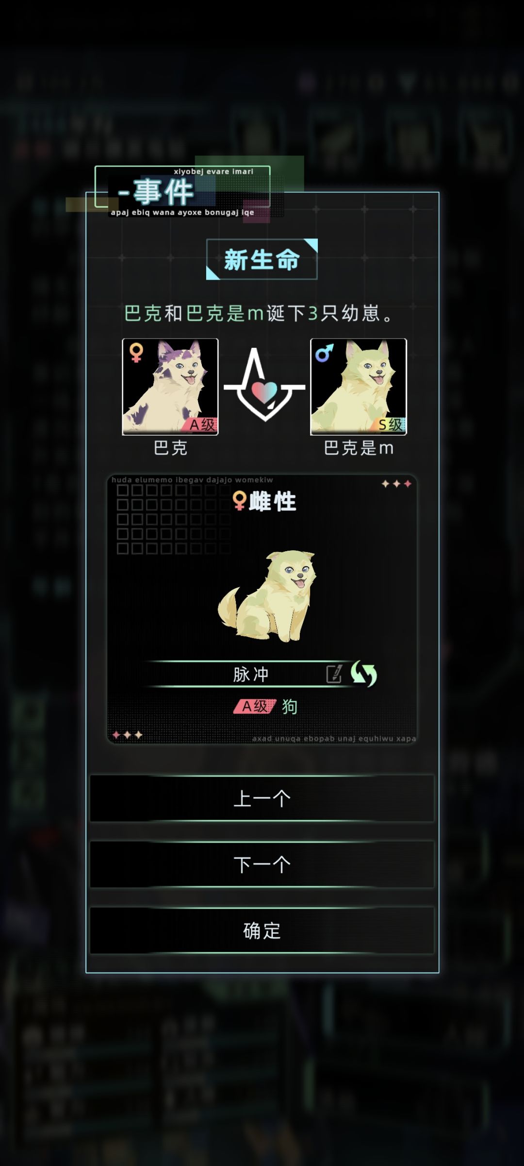 哇塞两胎都是三只狗! 2