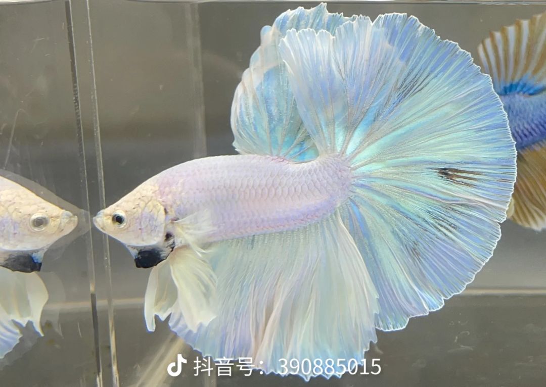 你就在测试中度过吧 1