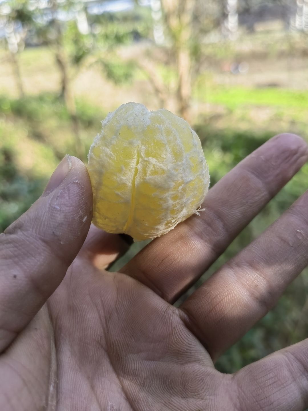 小小的春游 5