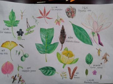 发下最近的屑画（）