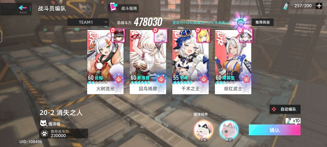 基本算是终极版红色最强队伍了截图