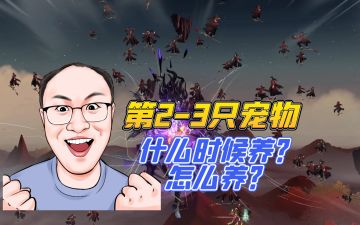 第2-3只宠物养成时机