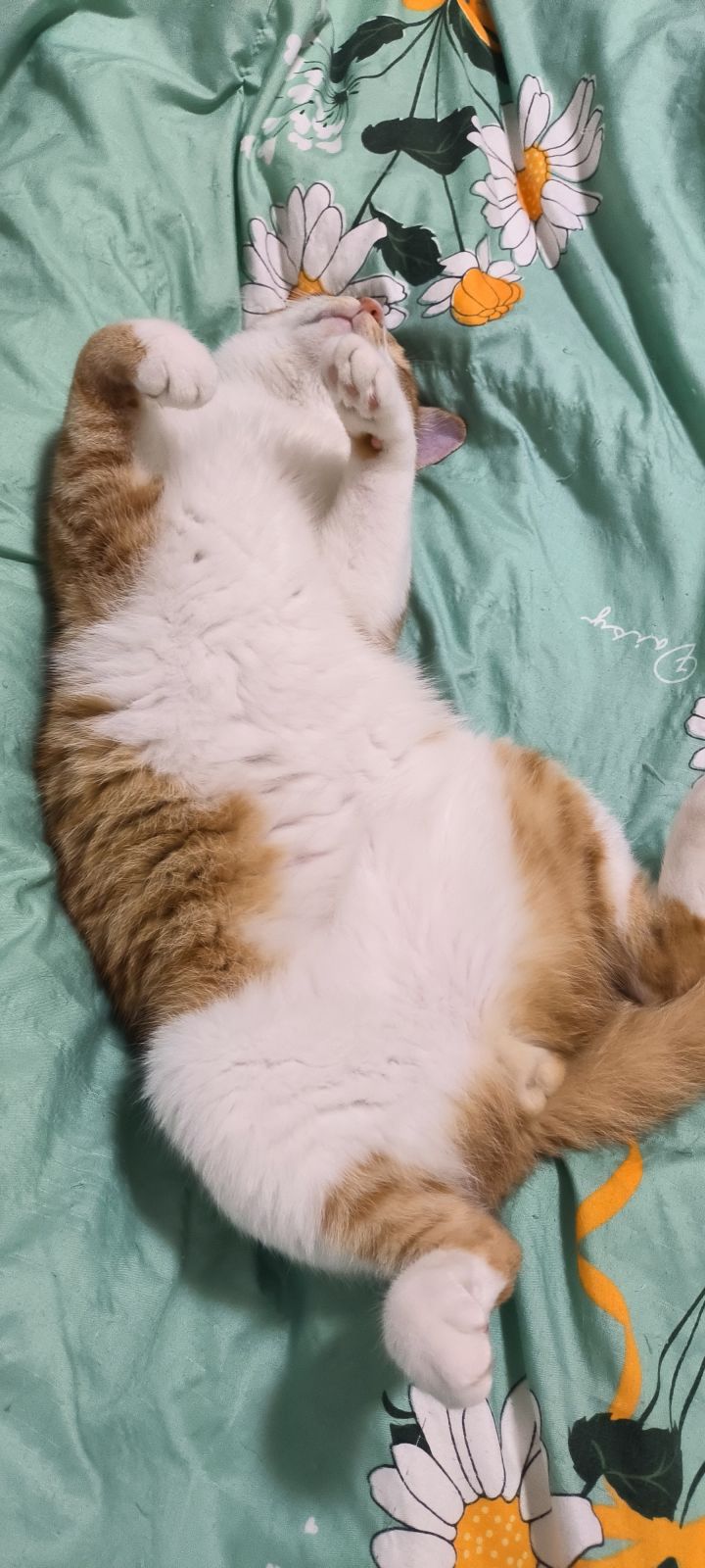 快开快开截图