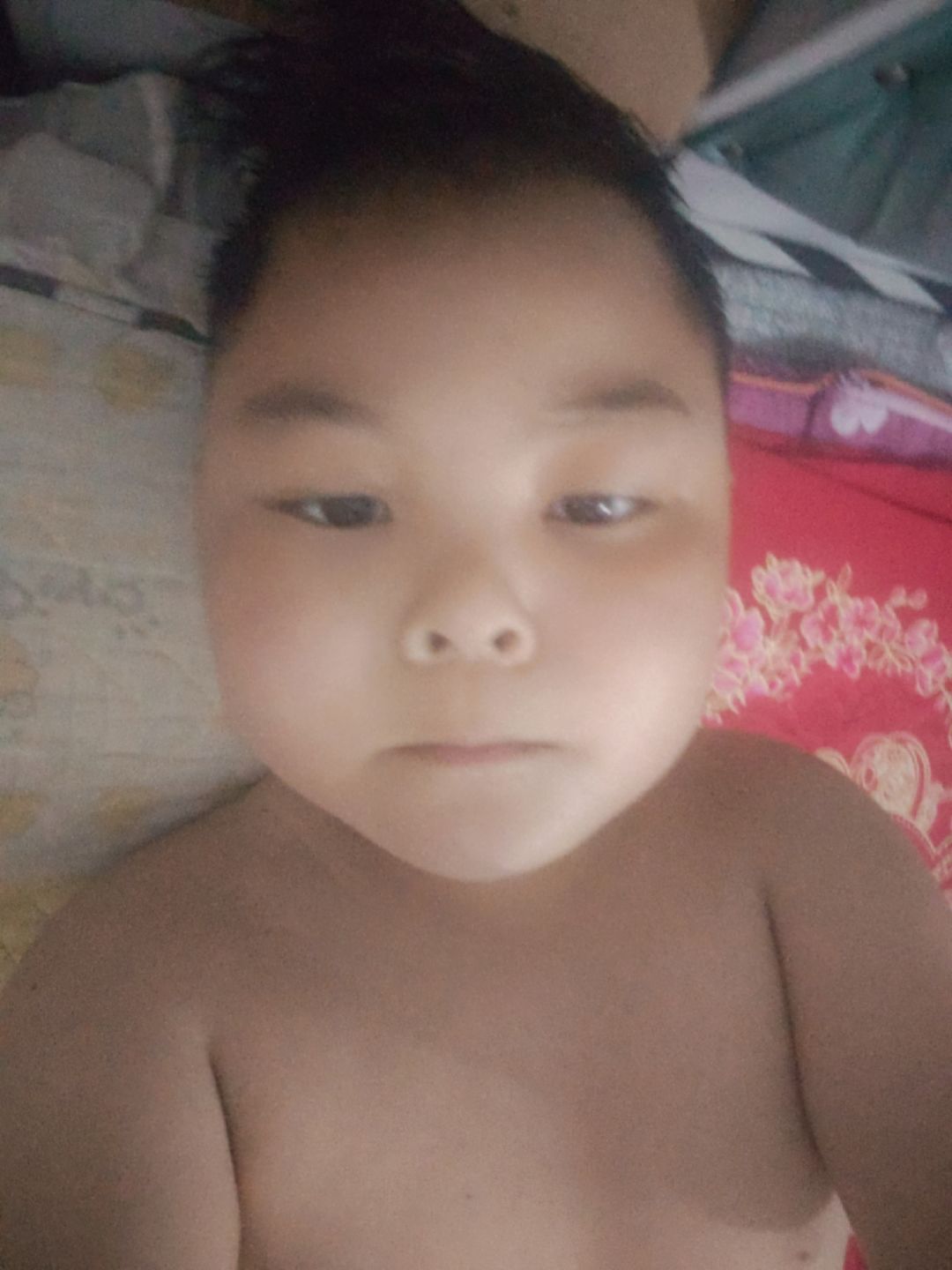 动态图片 16