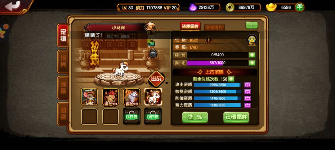 五阶马宠已出生 1
