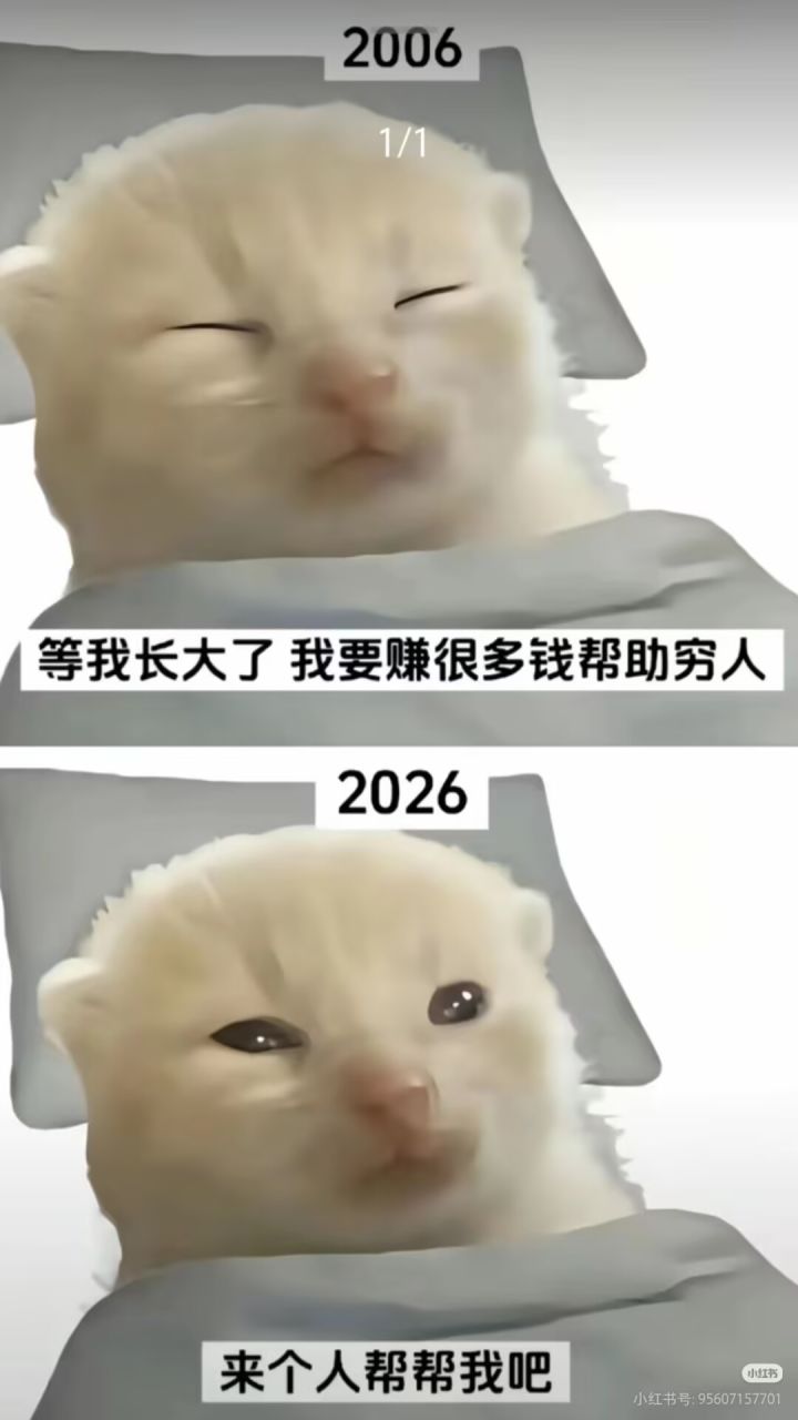 这游戏哪些算AP技能?截图